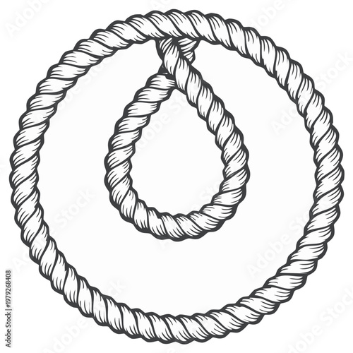 Thick twisted rope forms a coil with a noose loop creating a circular abstract pattern