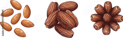 Flat vector dates and seeds collection featuring whole dried dates and kernels healthy organic snack food illustration isolated on light background
