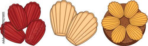Assorted shell shaped cookies and biscuits vector illustration featuring madeleine cakes and decorated pastry isolated on clean background for bakery design