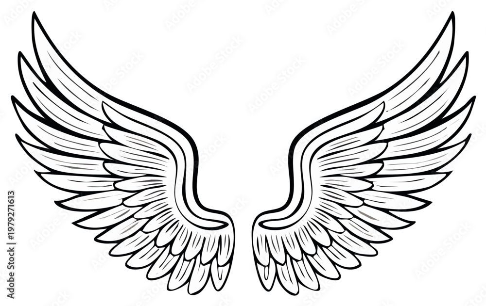 Fototapeta premium Elegant spread wings detailed illustration line art drawing monochrome vector