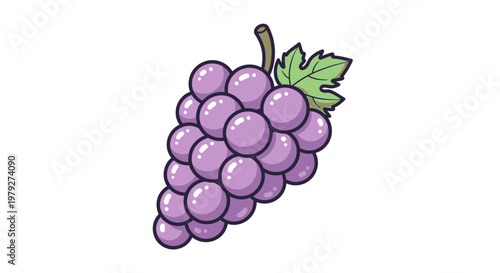 A bunch of purple grapes hanging.