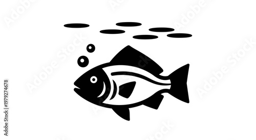 Black and white fish swimming alone.