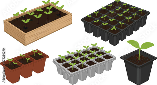 Seedling Starter Trays and Plant Pots Collection with Young Sprouts Growing in Soil Gardening Propagation Flat Vector Illustration Set