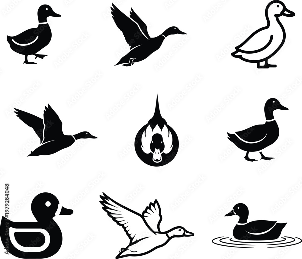 Fototapeta premium Black and white duck silhouettes and illustrations in various poses and styles