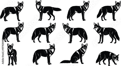 Canvas Print Wild Fox Silhouette Vector Set Featuring Various Poses Including Standing Walkin