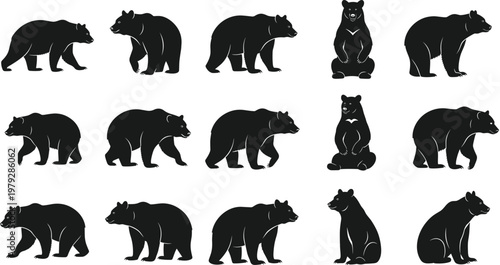 Grizzly and Black Bear Silhouette Vector Set Featuring Various Poses Including Walking Standing and Sitting for Outdoor Adventure Logos and Wildlife Nature Designs