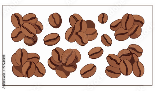 Coffee beans vector illustration with natural organic shapes for cafe design