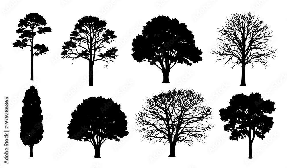 Fototapeta premium Isolated black tree silhouette vector set minimal nature illustration
