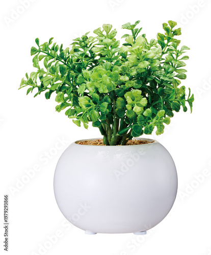 Artificial green plant in round white ceramic pot isolated on white background
