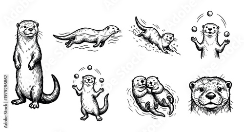 Otters in various playful poses and activities are beautifully illustrated in a classic hand-drawn sketch style, showcasing their charming and active nature.