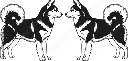 husky dog silhouette pair, symmetrical canine illustration, wolf like pets, black and white animal design, domestic breed artwork, standing huskies facing