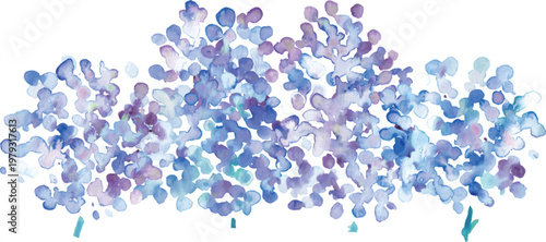 水彩画。水彩タッチの紫陽花イラスト。紫陽花の梅雨イラスト。ベクターアート。
Watercolor painting. Watercolor-style illustration of hydrangeas. Illustration of hydrangeas during the rainy season. Vector art.