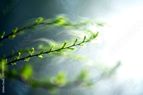 Green Sprouting Branches with Soft Light and Wind
