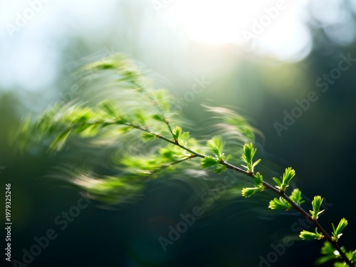 Green Branch with Fresh Leaves in Windy Nature