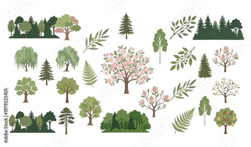 Watercolor style botanical elements vector blooming trees forest and foliage illustration