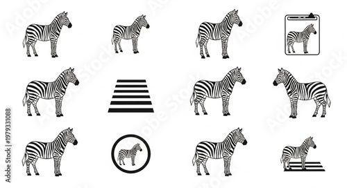 Collection of Zebra Illustrations and Icons.