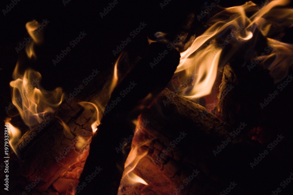 Fototapeta premium fire