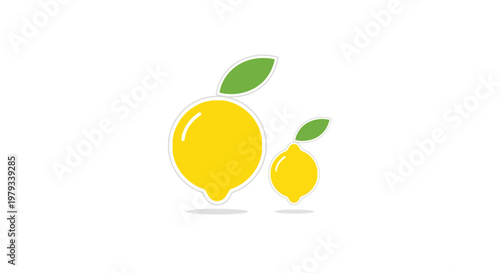 Two yellow lemons with green leaves, one large and one small, isolated on white background