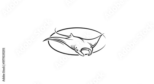 Elegant vector illustration of a manta ray swimming inside an oval shape