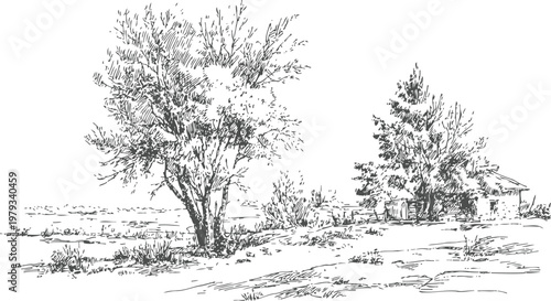 Rustic countryside landscape with trees and small farmhouse sketch drawing
