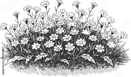 Field of blooming wildflowers with dense grass base, natural meadow floral illustration
