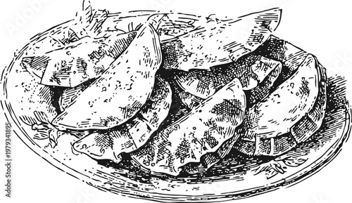 Hand drawn dumplings on a plate traditional asian savory stuffed pastry food illustration