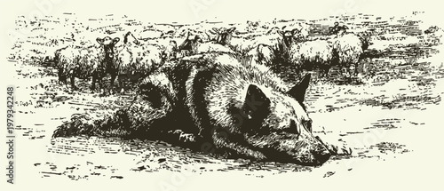 Border collie lying on the ground watching over flock of sheep in pasture field vintage illustration