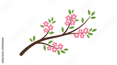 Cherry Blossom Branch with Pink Flowers in Bloom.
