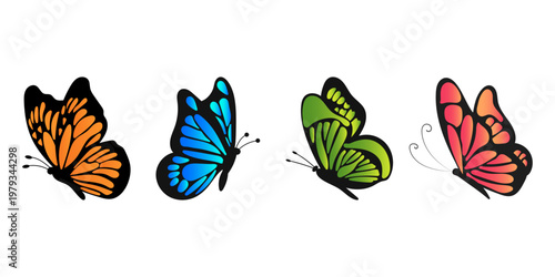 Butterfly Illustration