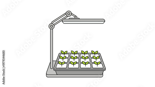 Seedling Tray Under Grow Light for Indoor Cultivation.