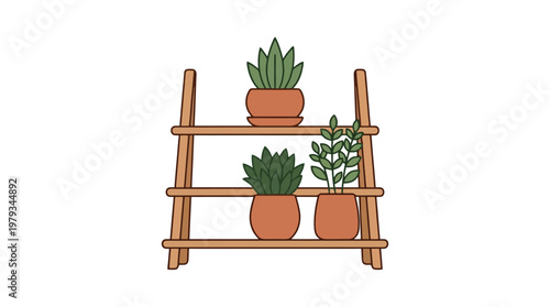 Three Potted Succulent Plants On Wooden Shelf.