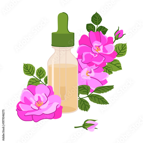 Dropper bottle and a pink damask rose. Glass vial with Branch Bulgarian rose essential oil. Ingredient for cosmetics and perfumes. Flat design illustration. A bottle with a pipette and floral extract.