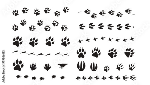 Collection of Animal Paw Prints and Footprints for Wildlife and Nature Designs