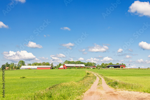 Red barns in a sunny rural landscape with a dirt road in summer