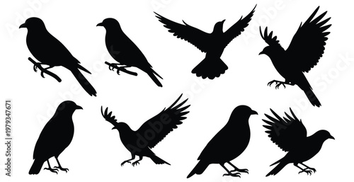 Silhouettes of crows in various flying and perching poses