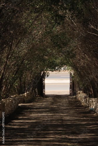 old wooden gate