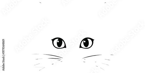 Closeup of cat face eyes whiskers.