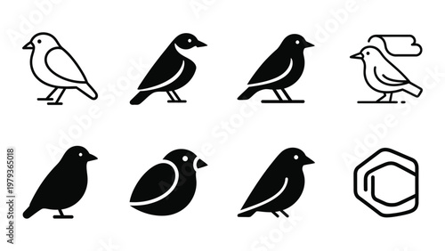 A collection of eight minimalist black and white bird icons displaying various poses and bird types high quality professional detailed modern