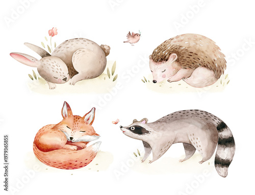 Schilderij op canvas Watercolor set of cute baby and fox animal woodland nursery rabbit and raccoon isolated illustration for children