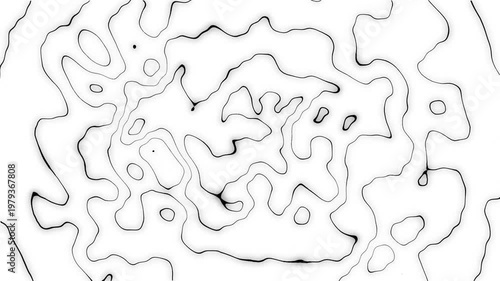 Minimalist black topological lines on white moving organic ripples background seamless motion loop