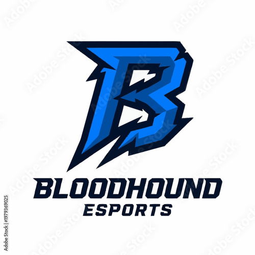 Bloodhound esports logo with stylized blue and black lettering and bold typography design
