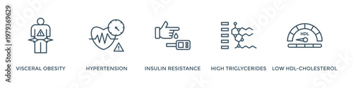 Symptoms of Metabolic Syndrome banner web icon vector illustration concept with an icon of Hypertension, Insulin Resistance, High Triglycerides, Low HDL-Cholesterol, Visceral Obesity