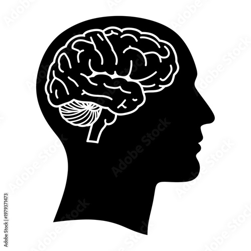 Vector of a human head with a brain inside in