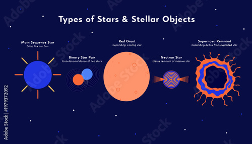 A vector graphic illustration of various types of stars and stellar objects in space