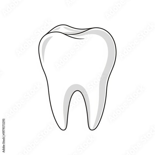 Simple Line Drawing of Human Molar Tooth.