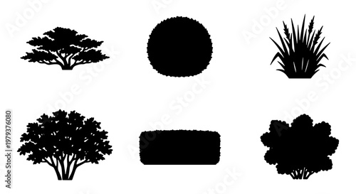 Black silhouette tree and bush icons, set of 6 garden plant vector elements, landscape architecture shrub and grass silhouettes for site plans