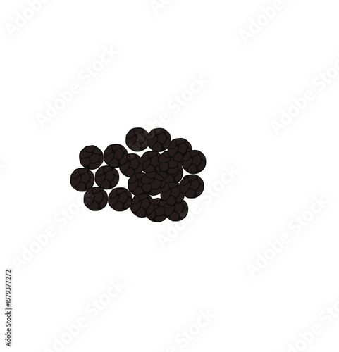 Black Pepper Vector
