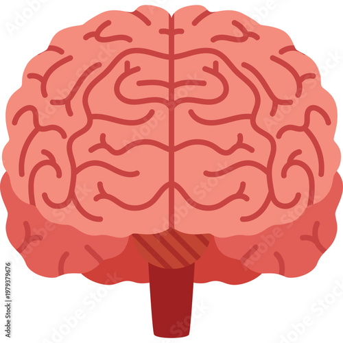 Brain Vector Illustration