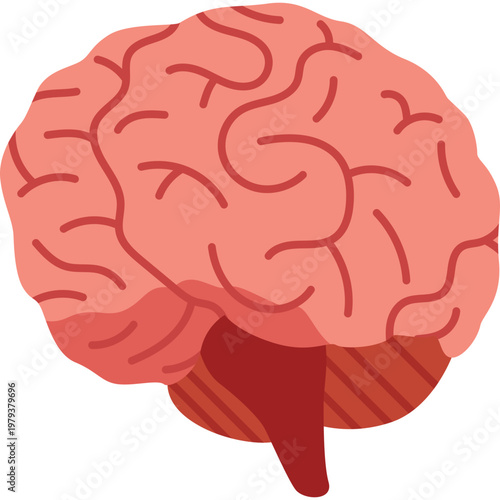 Brain Vector Illustration