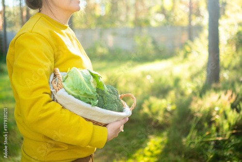Young woman farmer holding wicker basket full of cauliflower and broccoli on her farm. Sunset rays illuminate fresh vegetables. Seasonal harvest, homegrown produce, healthy lifestyle outdoors.